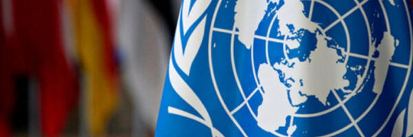 В ООН осудили давление Эстонии на каноническую Православную церковь