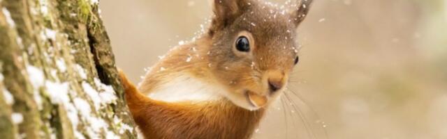 Ожидается солнечный день