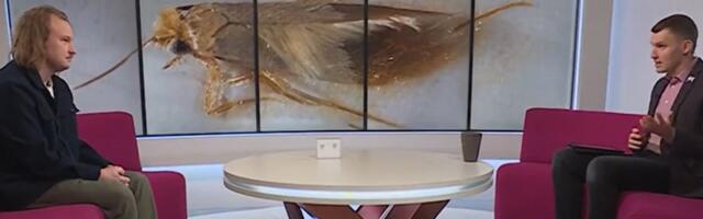 Зоолог: чтобы избавиться от моли, одежду и сухие продукты нужно многократно заморозить