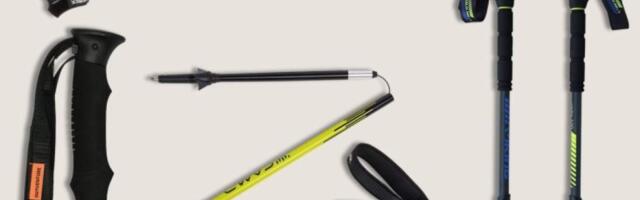 Как выбрать трекинговые палки: для горного туризма, походов
