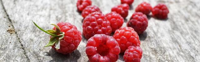 Прогноз погоды до четверга, 14 августа: тепло и солнечно