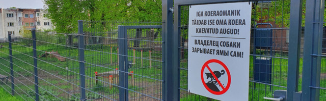 Нарвитяне предлагают построить собачьи площадки по всему городу