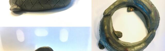 В Нарве проезд в пешеходные зоны скоро закроют рыбы