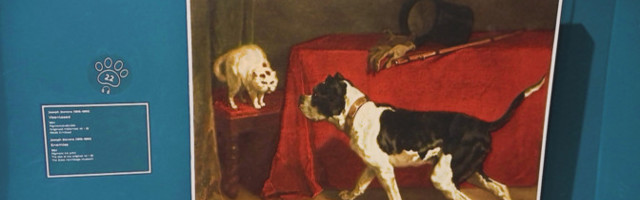 В Кадриоргском художественном музее открылась посвящённая изображениям кошек и собак выставка