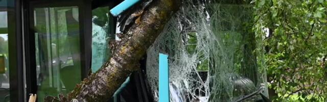 ВИДЕО И ФОТО | В Вильянди автобус съехал с дороги и врезался в дерево. Есть пострадавшие
