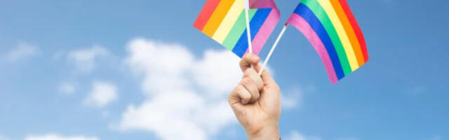 Права ЛГБТ в Эстонии: 6 важных фактов, о которых стоит знать