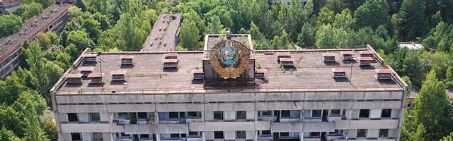 Говорил ли биолог из Чернобыля, что радиация оказалась добрее человека?