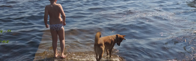 Есть победитель: Нарва попыталась перейти на летний гардероб