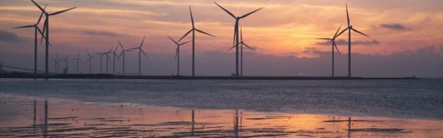 В Эстонии одобрена экологическая программа гигантского ветропарка на Сааремаа