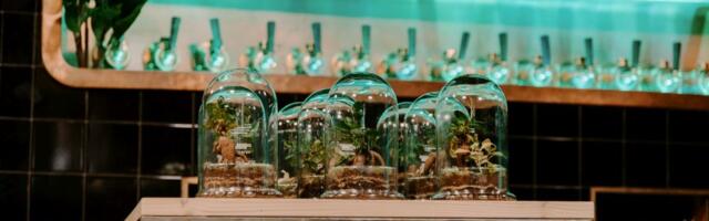 Baltic Sustainability Awards: объявлены самые устойчивые компании в Эстонии, Латвии и Литве