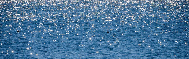 В РФ заявили, что из-за атаки дронов в порту "Приморск" на Балтийском море горит судно