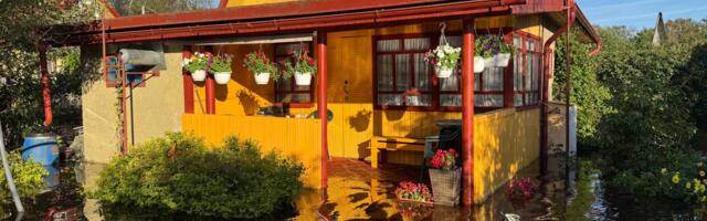 Небывалый потоп в нарвском дачном районе Кудрукюла «ликвидировался» сам, но власти готовятся к встрече следующих