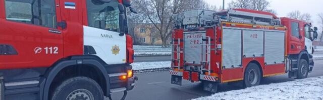 Пожары в Ида-Вирумаа: спасатели предупреждают о типичных ошибках жителей
