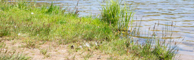 Коллапс Атлантических течений принесет в Эстонию суровые зимы, но оставит летнее тепло
