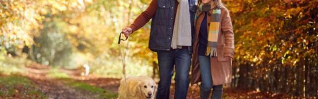 Польза ходьбы пешком для здоровья мужчин, женщин