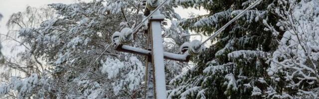 Звенит январская вьюга: какая погода ожидает жителей Эстонии в ближайшие дни