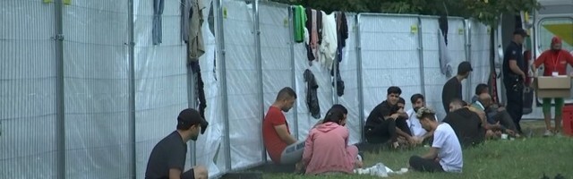 В Германию прибывает все больше мигрантов из Беларуси