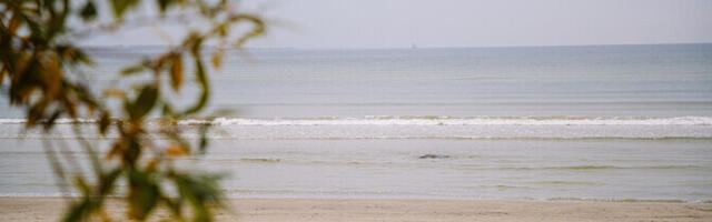 В среду воздух прогреется до 19 градусов