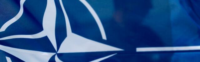 В Нидерландах открыли огонь по дронам над военной базой