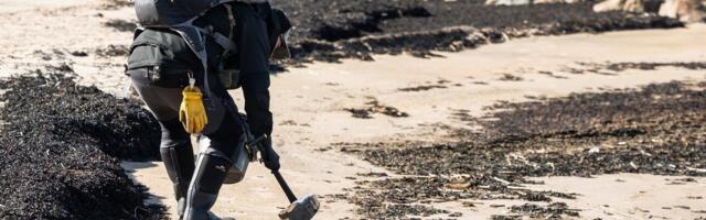 Результаты лабораторного анализа определили вид вещества, загрязнившего пляжи Эстонии