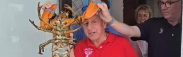 Нью-йоркский ресторан вернул в море 110-летнего лобстера