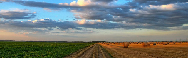 На инфочасе в Рийгикогу обсудили жизнь в сельских регионах Эстонии