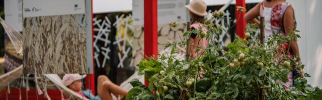 Бульвар Свободы от автомобилей вошел в топ лучших историй успеха в категории «окружающая среда и климат»