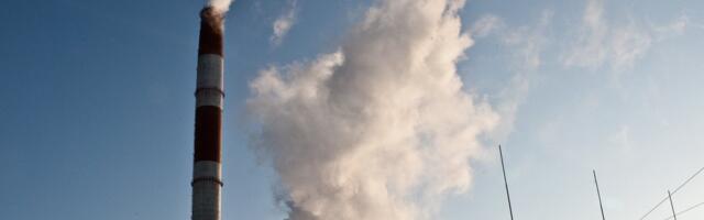 ВИДЕО | „Это лучше, чем захоронение“. На электростанции Иру протестируют сжигание погибших из-за АЧС свиней