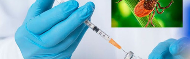 Аптеки начинают делать прививки от клещевого энцефалита