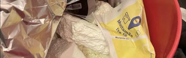 У жителя Эстонии нашли дома килограмм кокаина — ему предъявлено обвинение