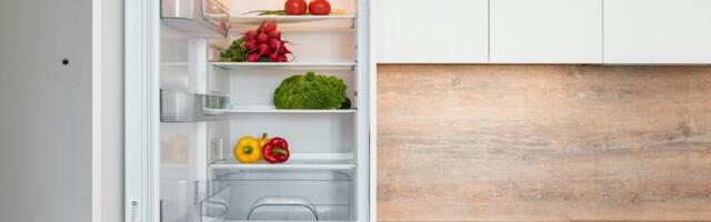 Лучший холодильник для дома