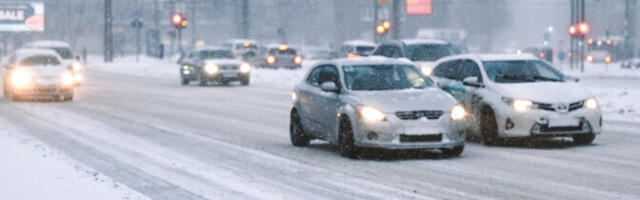 Канцлер права добивается признания автоналога частично неконституционным