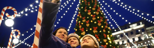 Дворцовую площадь Петербурга впервые за много лет украсит живая новогодняя ель