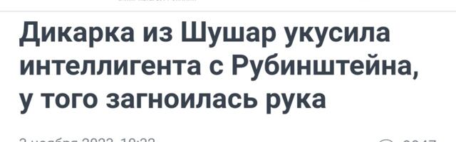 НРАВЫ ДЕРЖАВЫ: В России нажали кнопку. Как не в ту голову вилы всадили. Когда прохожие кусаются. Глотки любимых бабушек в надёжных руках