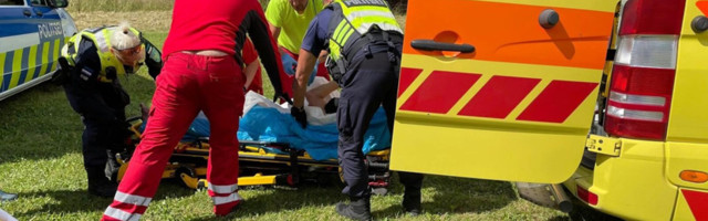 Жуткое зрелище: иностранец разгромил арендованный дом в Харьюмаа