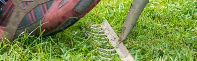 Гороскоп на 24 июля: Хватит плясать на граблях