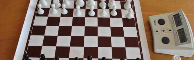 Шахматы: Александр Володин стал чемпионом Эстонии по блицу