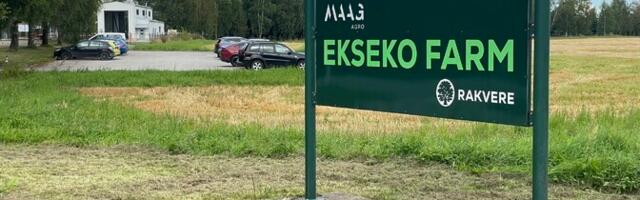 PTA: новых очагов АЧС за неделю не прибавилось