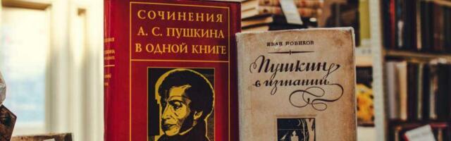 Сейм Латвии за один день принял запрет на российские книги, одежду и видеоигры