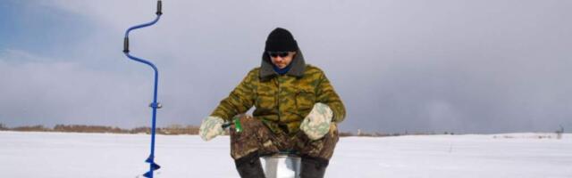 Как ловить окуня зимой: снасти, способы ловли, техника, места обитания