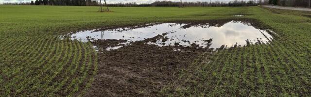 Цены на сельскохозяйственные земли в прошлом году снизились после длительного роста