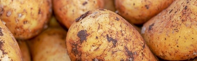 Йозинг о подорожавшем в два раза картофеле: жители не будут отказываться от его покупки