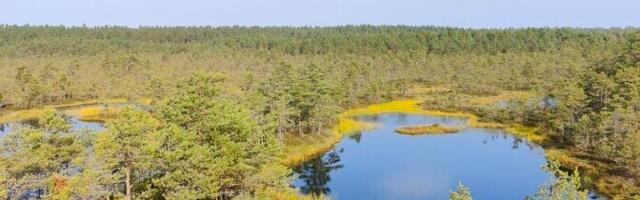 Emor: в Эстонии сократилось число сторонников зеленого перехода