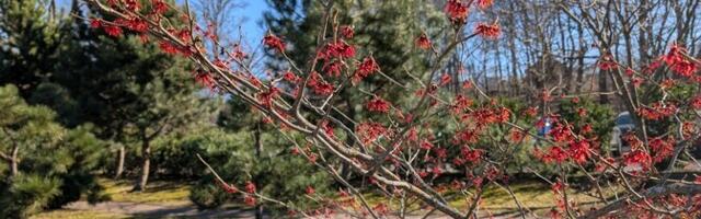 В субботу переменная облачность, без осадков, +9...+15