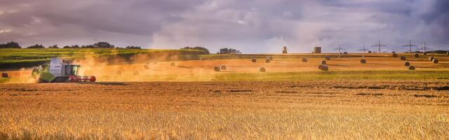Еврокомиссия запретила поставки украинского зерна в пять стран