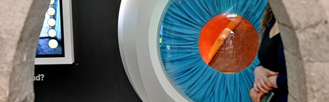 «Цветовая щекотка»: Музей фотографии в Таллинне раскрывает тайны цвета