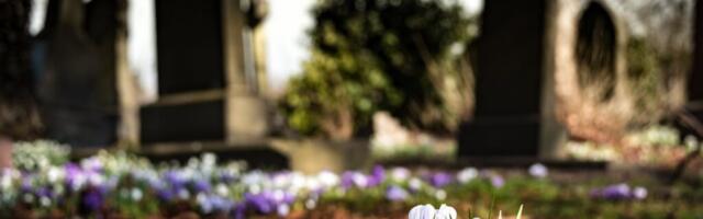 В волости Пылва переносят советские памятники и захоронения