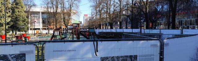 Видео: в центральном парке началась вырубка деревьев