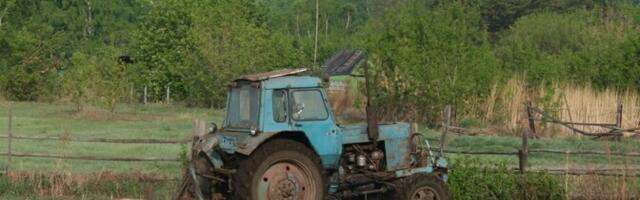 Бывший импортер тракторов "Беларус": это был крупный бизнес