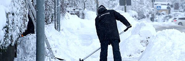Как в былом Тарту со снегом боролись